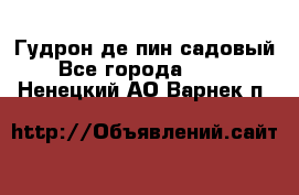 Гудрон де пин садовый - Все города  »    . Ненецкий АО,Варнек п.